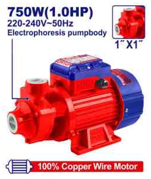 EWPPV07501, Water pump - AC 220-240V Professional AC Powered Power Tool with Multi-Function Capability